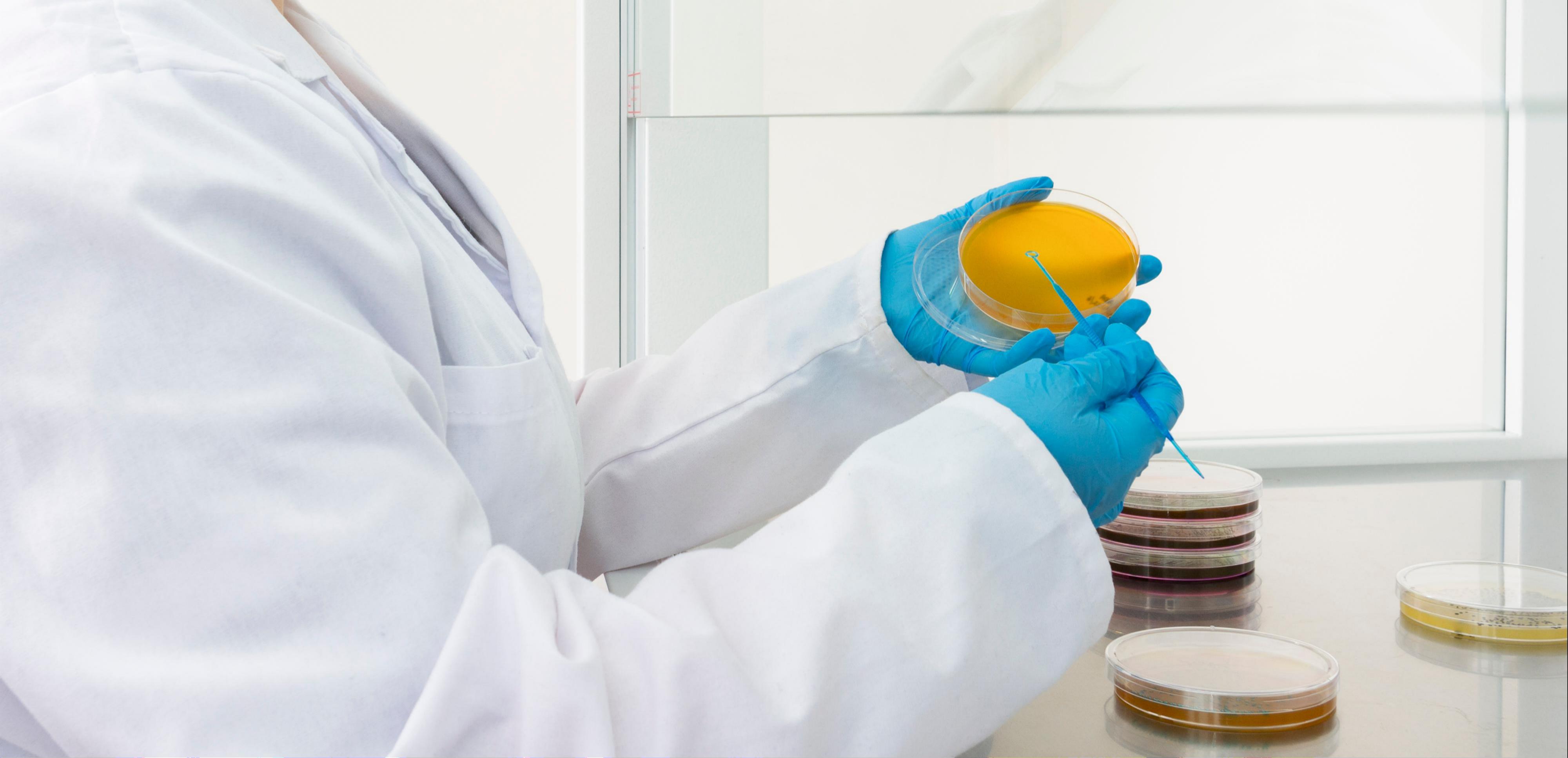 Laboratorio